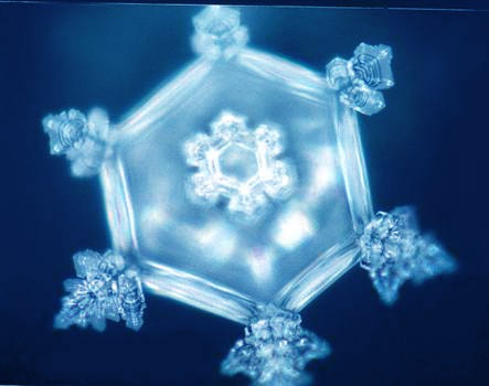 Vivaldi-Négy-Évszak